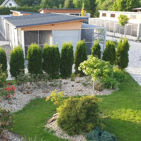 V Centru Kralovstvi Sov Králíky