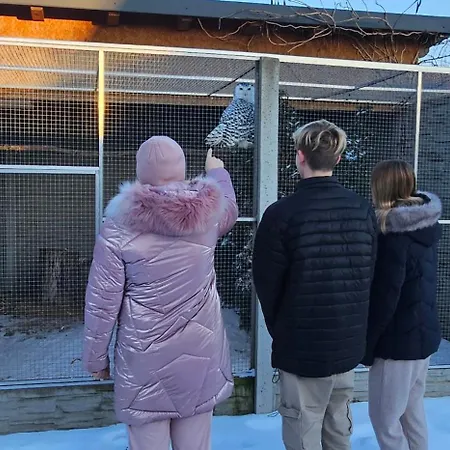 Apartment V Centru Kralovstvi Sov Králíky