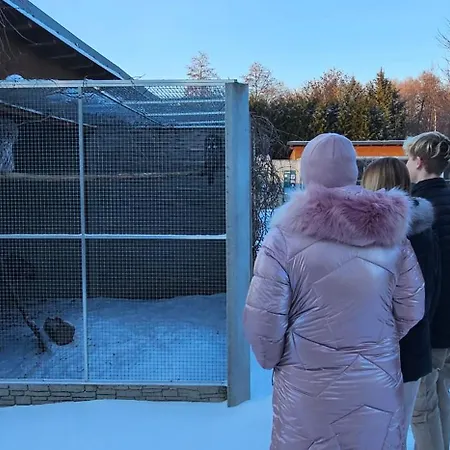 V Centru Kralovstvi Sov * Králíky
