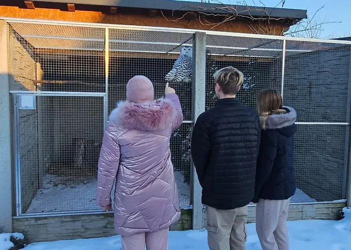 Lejlighed V Centru Kralovstvi Sov Králíky